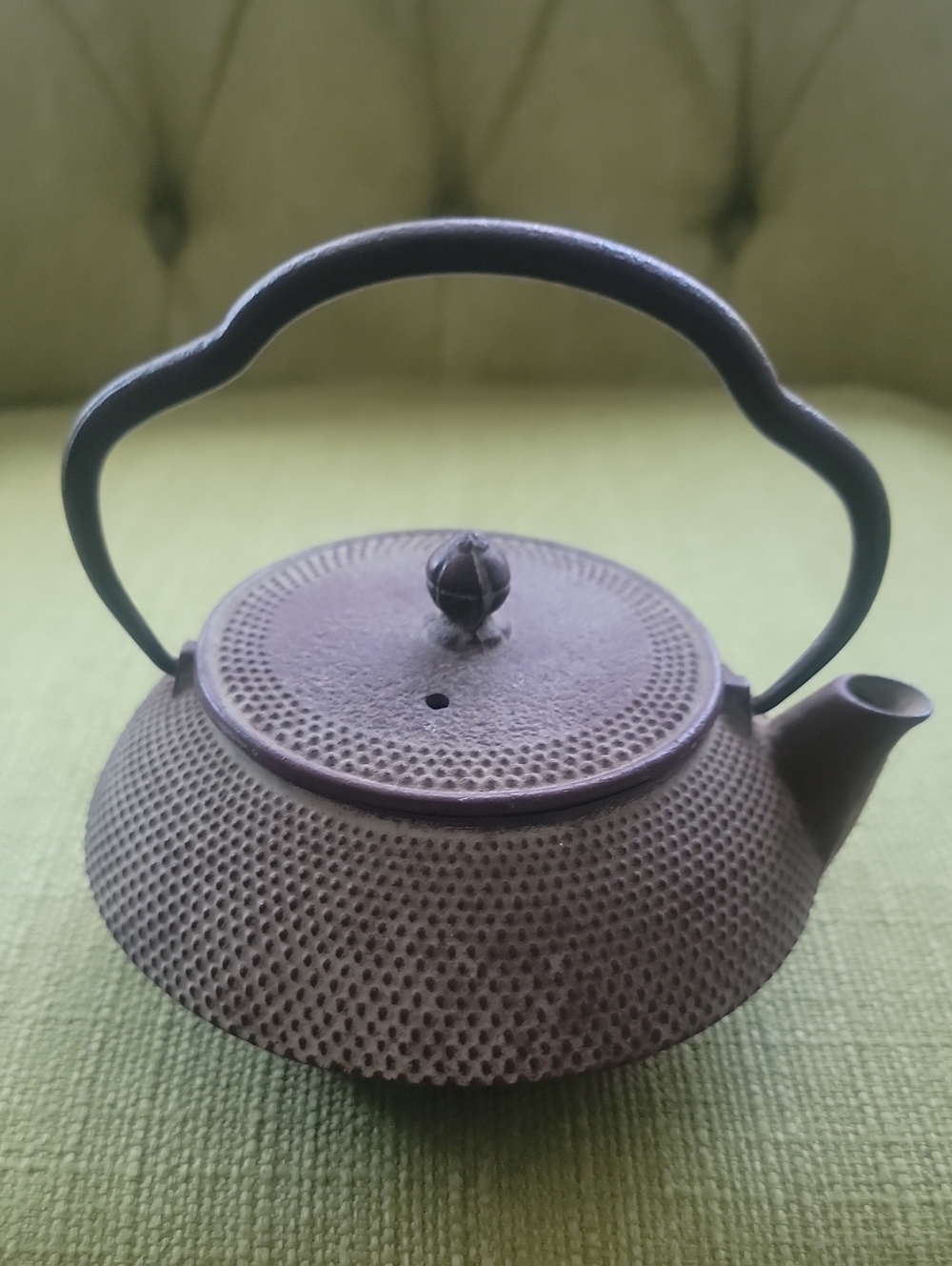 Vintage Japanese Nanbu Teapot  Kettle